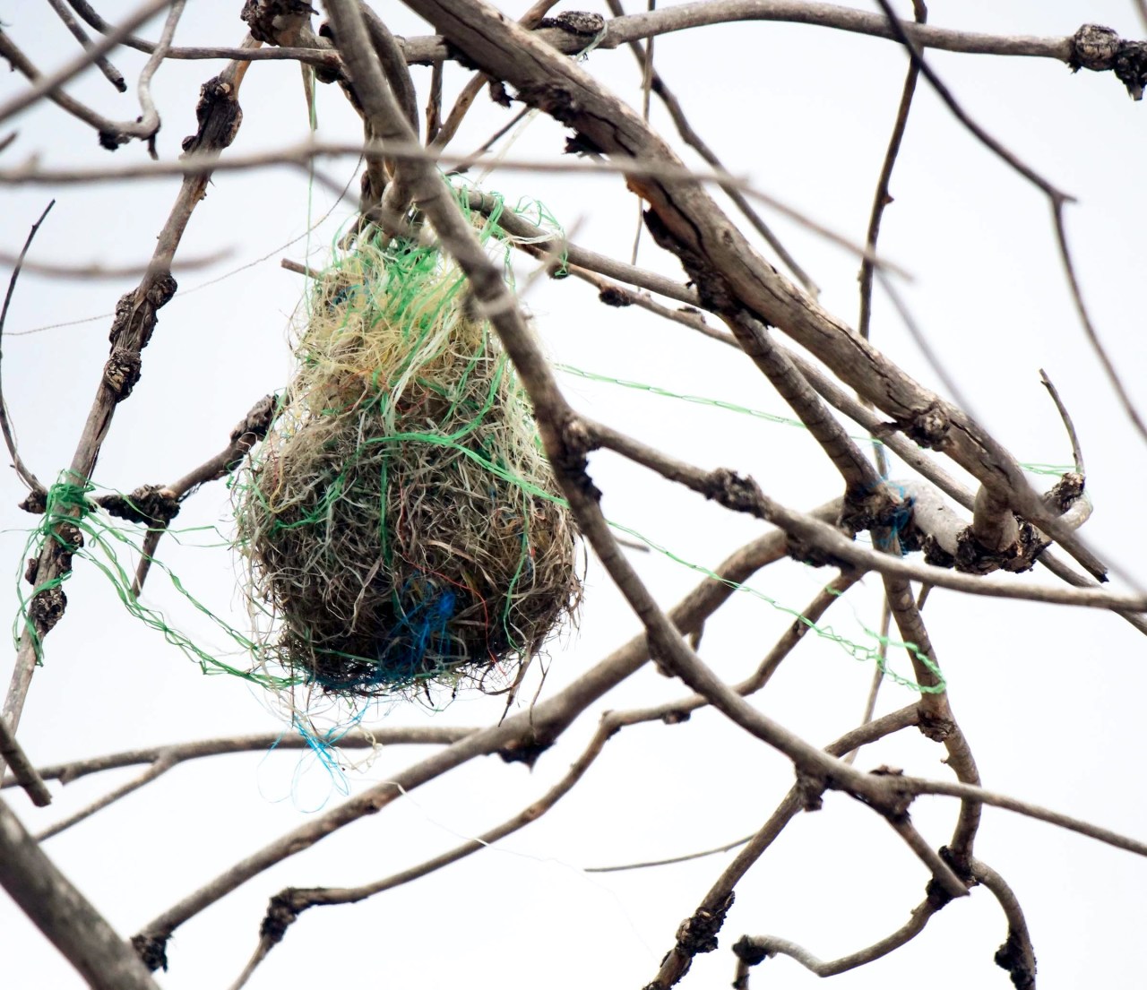 AFED6408-E295-4866-92D3-086DA355799C